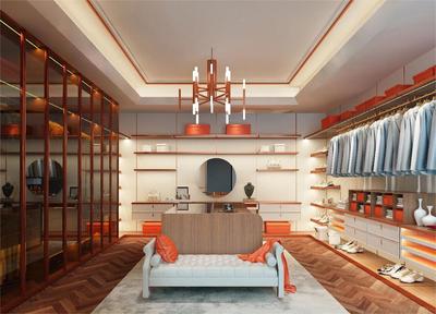 Modern Wardrobe Closet